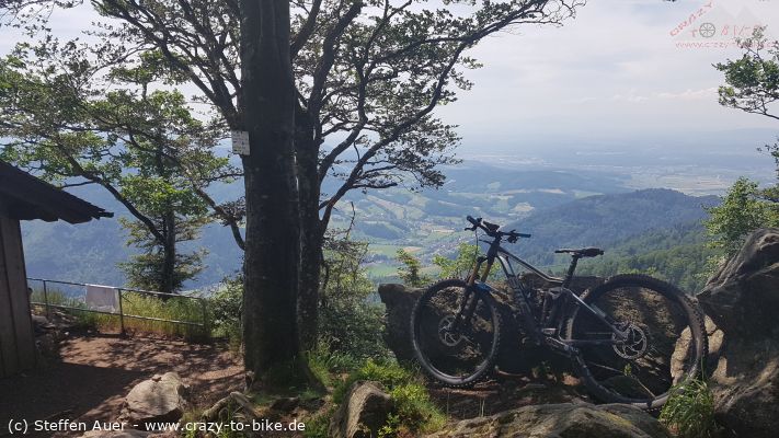 Von Freiburg über den Kandelhöhenweg ins Glottertal und auf den Rosskopf
