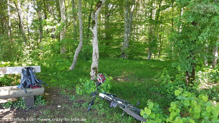 Trails am Buchberg und Eichberg