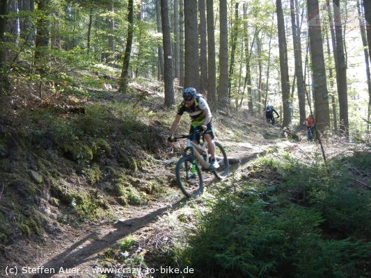 Trailbiken um Baiersbronn