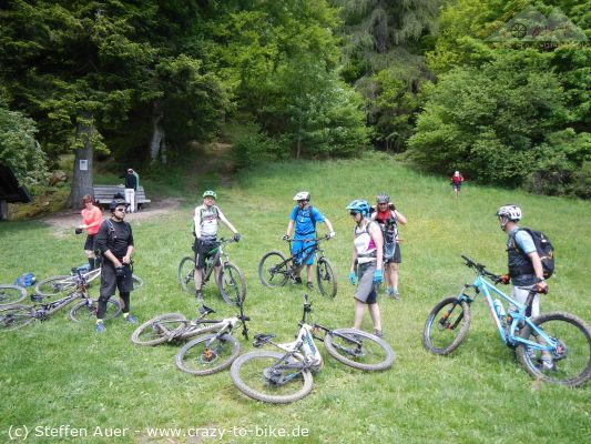 DAV-Tour Freiburg: Schauinsland und Badish Moon Rising