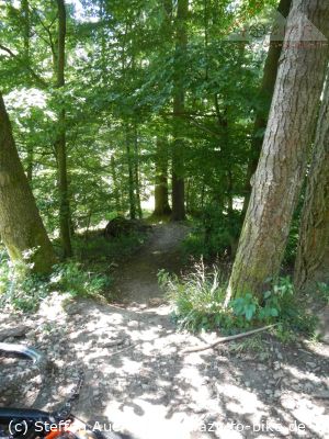 mehr Bilder - auch als Vollbild - unter Fotos/Bike-Touren/Tagestouren