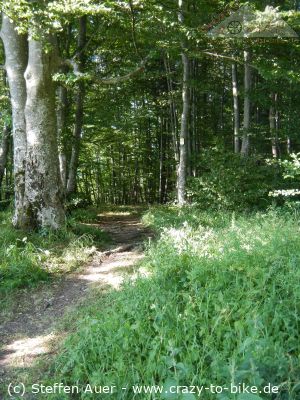 mehr Bilder - auch als Vollbild - unter Fotos/Bike-Touren/Tagestouren