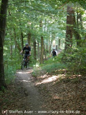 mehr Bilder - auch als Vollbild - unter Fotos/Bike-Touren/Tagestouren