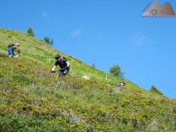 2020-07-17_2020-07-19_dav_we_davos_098