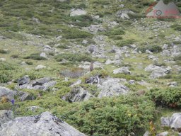 transalp_2020_st_anton-riva_033