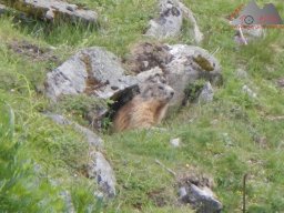 2021-06-26-2021-06-27_dav_we_konstanzer_huette_17