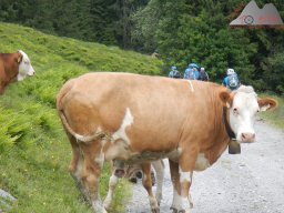 2021-06-26-2021-06-27_dav_we_konstanzer_huette_88