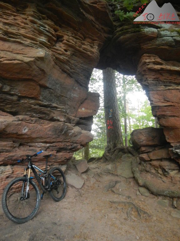 zu den Fotos des Events