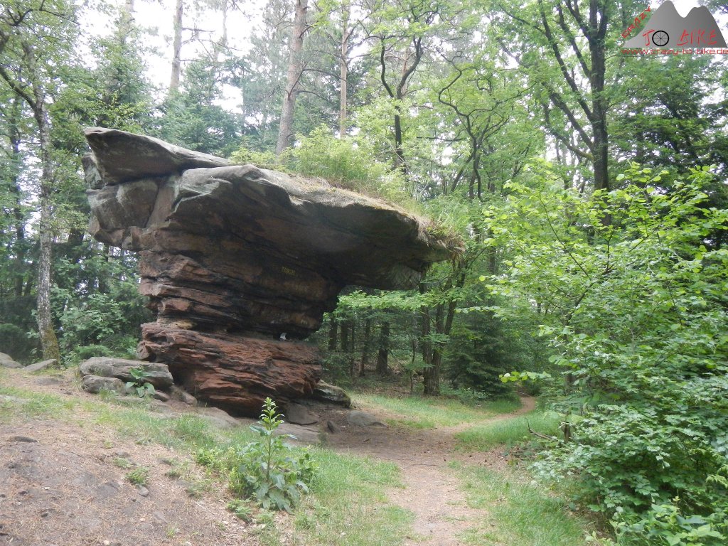Trailbiken in der Pfalz und Last-Testride in Dortmund - 26. bis 29.05.2022