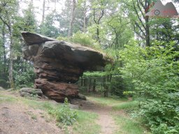 pfalz_und_last-testride_dortmund_24