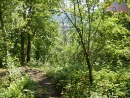 pfalz_und_last-testride_dortmund_25