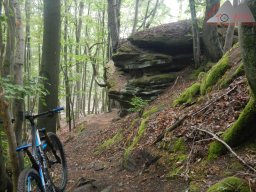 pfalz_dahner_felsenland_2022_003