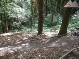 pfalz_dahner_felsenland_2022_030