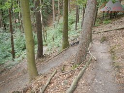 pfalz_dahner_felsenland_2022_033