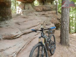 pfalz_dahner_felsenland_2022_068