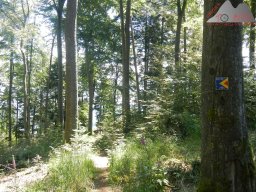 pfalz_dahner_felsenland_2022_072