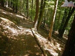 pfalz_dahner_felsenland_2022_077