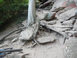 pfalz_dahner_felsenland_2022_089