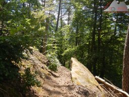 pfalz_dahner_felsenland_2022_096