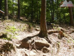 pfalz_dahner_felsenland_2022_102