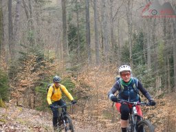 2023-04-14_2023-04-16_dav_lambrecht_pfalz_019