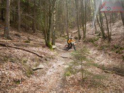 2023-04-14_2023-04-16_dav_lambrecht_pfalz_109