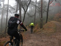 2023-04-14_2023-04-16_dav_lambrecht_pfalz_221