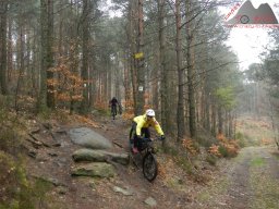 2023-04-14_2023-04-16_dav_lambrecht_pfalz_272