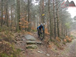 2023-04-14_2023-04-16_dav_lambrecht_pfalz_273