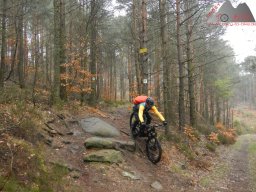 2023-04-14_2023-04-16_dav_lambrecht_pfalz_280