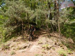 dav_pfalz_dahner_felsenland_2023_014