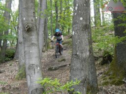 dav_pfalz_dahner_felsenland_2023_018