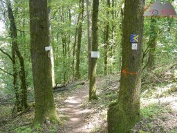 dav_pfalz_dahner_felsenland_2023_022