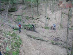 dav_pfalz_dahner_felsenland_2023_027