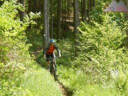 dav_pfalz_dahner_felsenland_2023_033