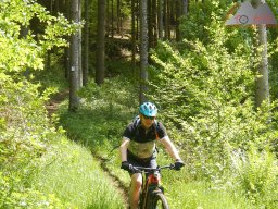 dav_pfalz_dahner_felsenland_2023_040