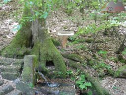 dav_pfalz_dahner_felsenland_2023_041