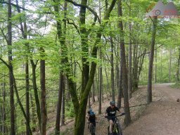 dav_pfalz_dahner_felsenland_2023_044