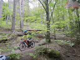 dav_pfalz_dahner_felsenland_2023_067