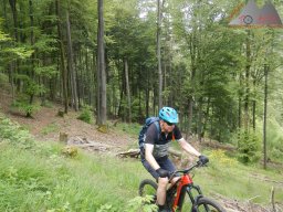 dav_pfalz_dahner_felsenland_2023_070