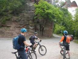 dav_pfalz_dahner_felsenland_2023_078