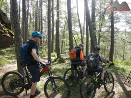 dav_pfalz_dahner_felsenland_2023_081