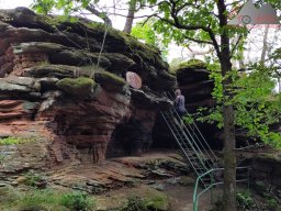 dav_pfalz_dahner_felsenland_2023_087