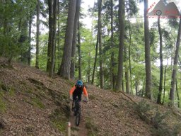 dav_pfalz_dahner_felsenland_2023_097