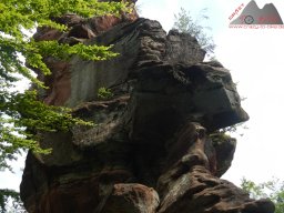 dav_pfalz_dahner_felsenland_2023_099