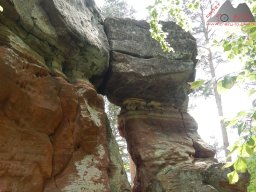 dav_pfalz_dahner_felsenland_2023_100