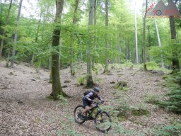 dav_pfalz_dahner_felsenland_2023_116