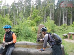 dav_pfalz_dahner_felsenland_2023_124