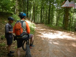 dav_pfalz_dahner_felsenland_2023_156