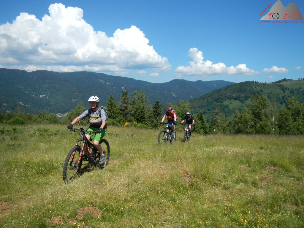 DAV: Trailbiken in den Vogesen - 08. bis 11.06.2023